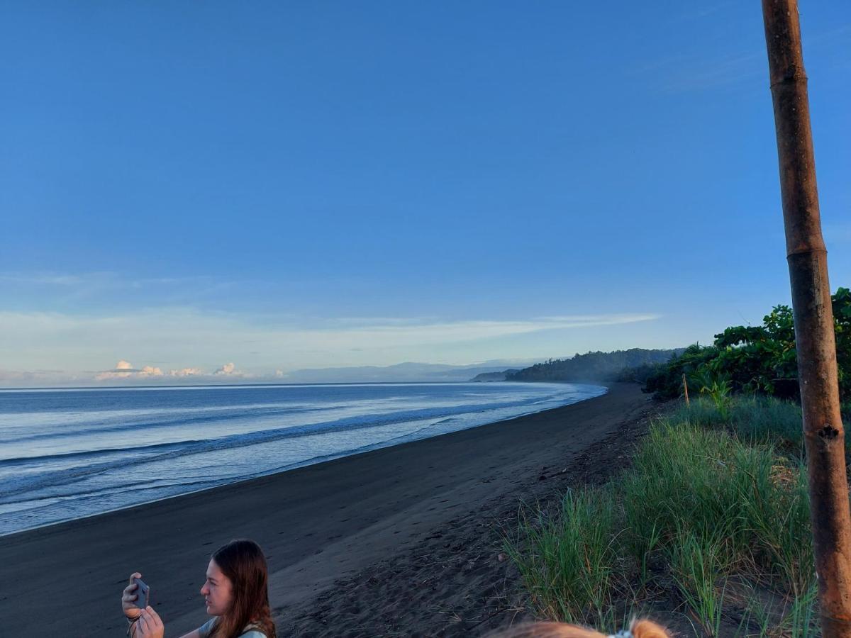 Hotel Gitana Corcovado, Y Tour Operador Drakes Bay Exteriör bild